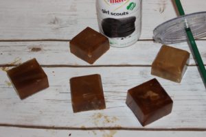 I Adore What I Love Blog // ICED COFFEE CUBES FOR THE WIN // www.iadorewhatilove.com #iadorewhatilove