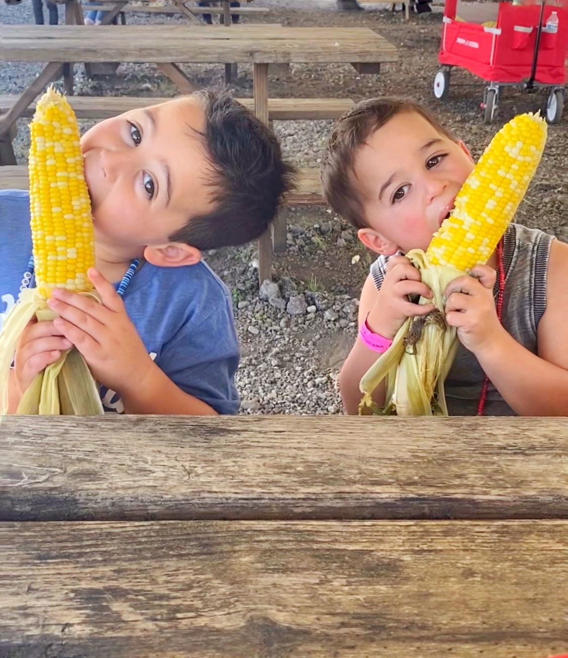 Sharing the MOST delicious corn on the cob recipe! It's crazy easy, absolutely delicious, & ridiculously YUM! The whole family will love it!