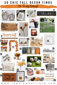 Fall is here!! I found 30 CHIC fall decor finds to snag today! Get excited to fall-ify your space into a gorgeous autumn wonderland!