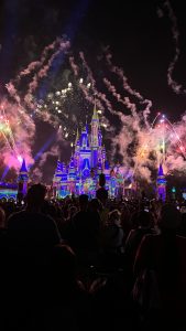 Before you head to Disney World, read this!!! Sharing 10 crucial tips you need to know before you head there with your family!!