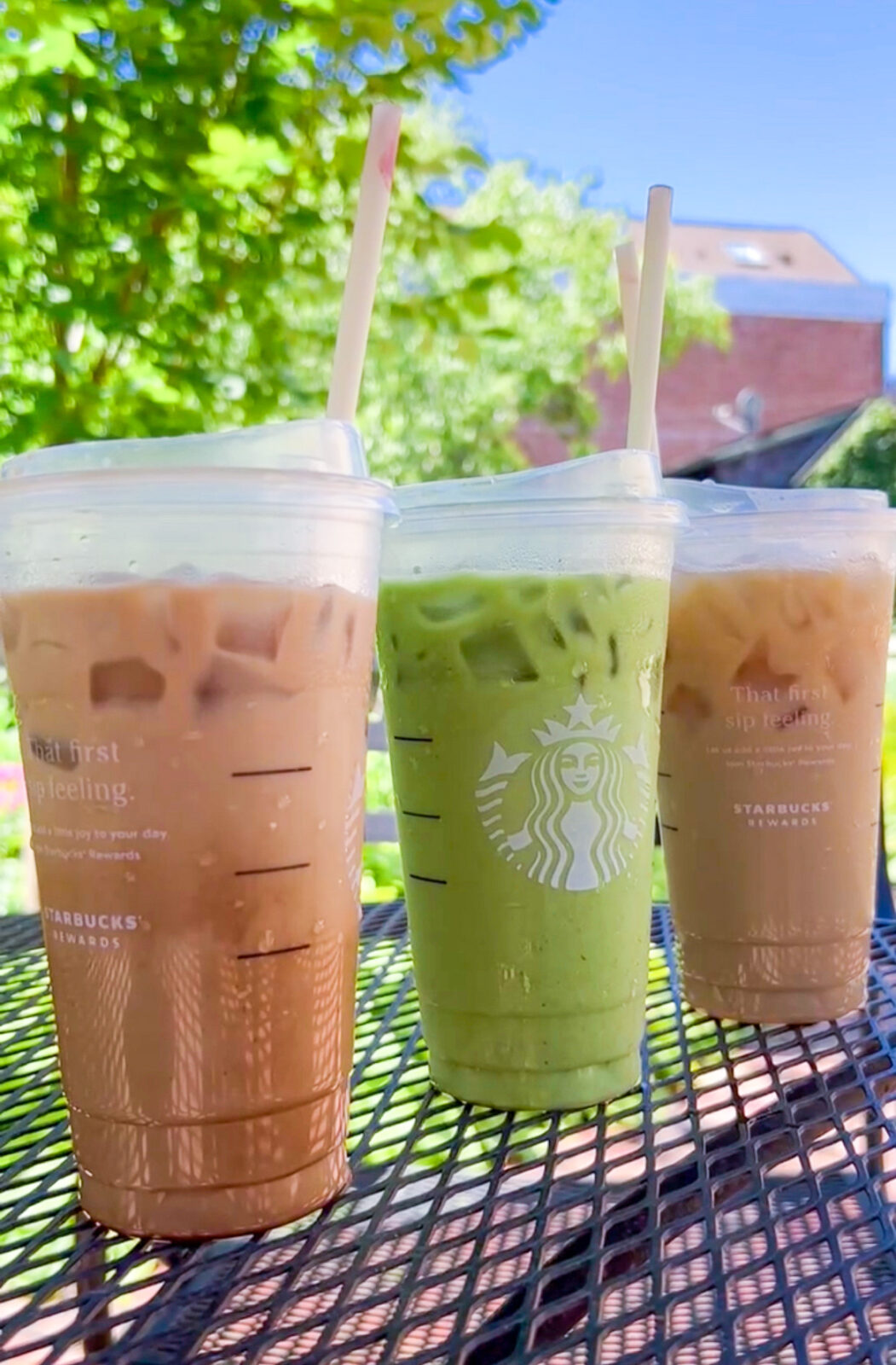 starbucks drinks - matcha green tea latte, chai tea latte, and an oatmilk latte with one pump of mocha